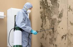 Best Mold Remediation for Healthcare Facilities  in Danville, AR